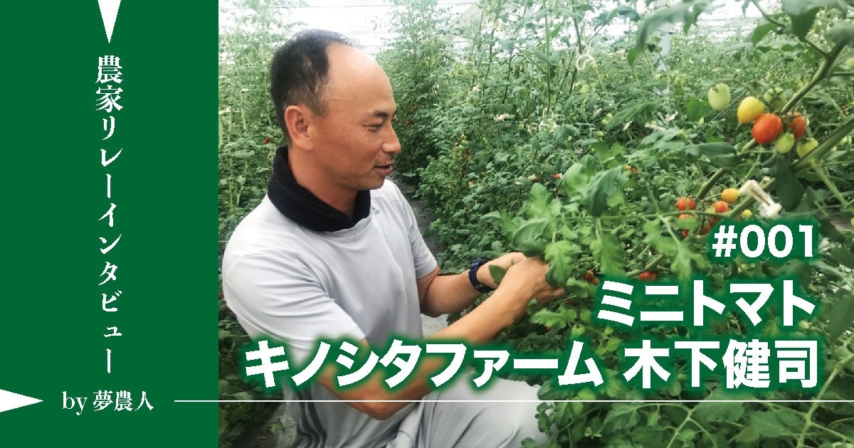 品揃え豊富で ふるさと納税 岸和田市 通年糖度8以上のミニトマト アマメイド 1kg