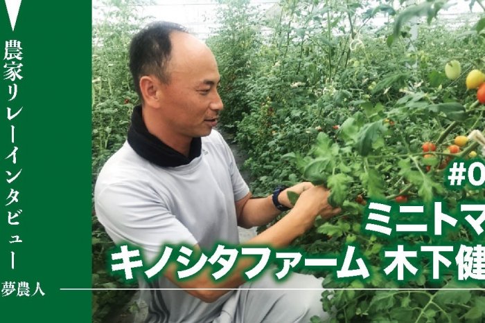 キノシタファーム　通年で糖度8以上のバッグ栽培ミニトマト（大阪府岸和田市）